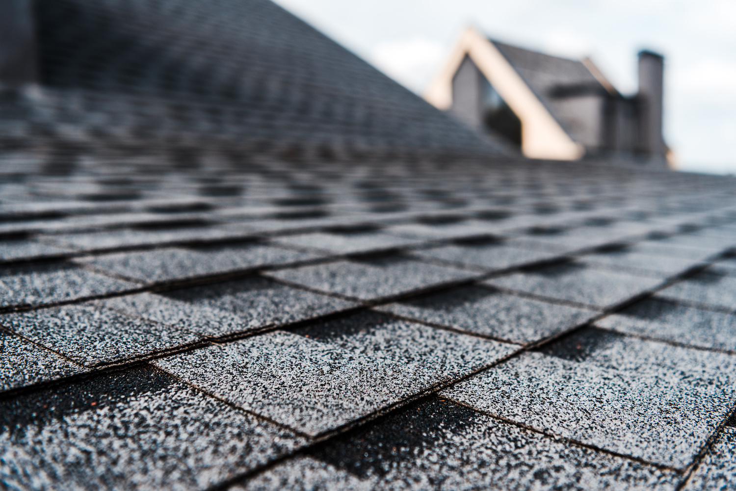 metal roof vs shingles asphalt