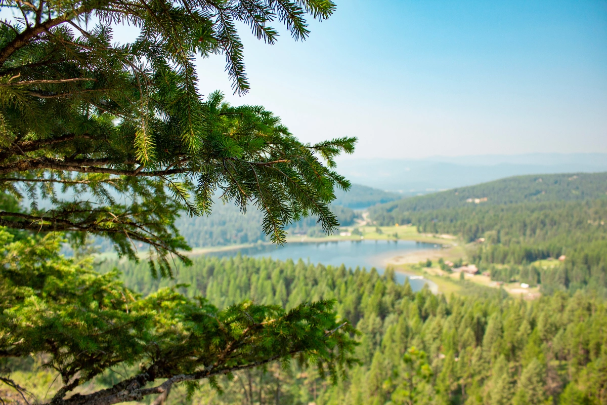 Whitefish Mountain trail view in Montana 