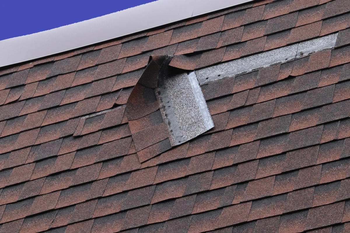 damaged asphalt shingle on roof