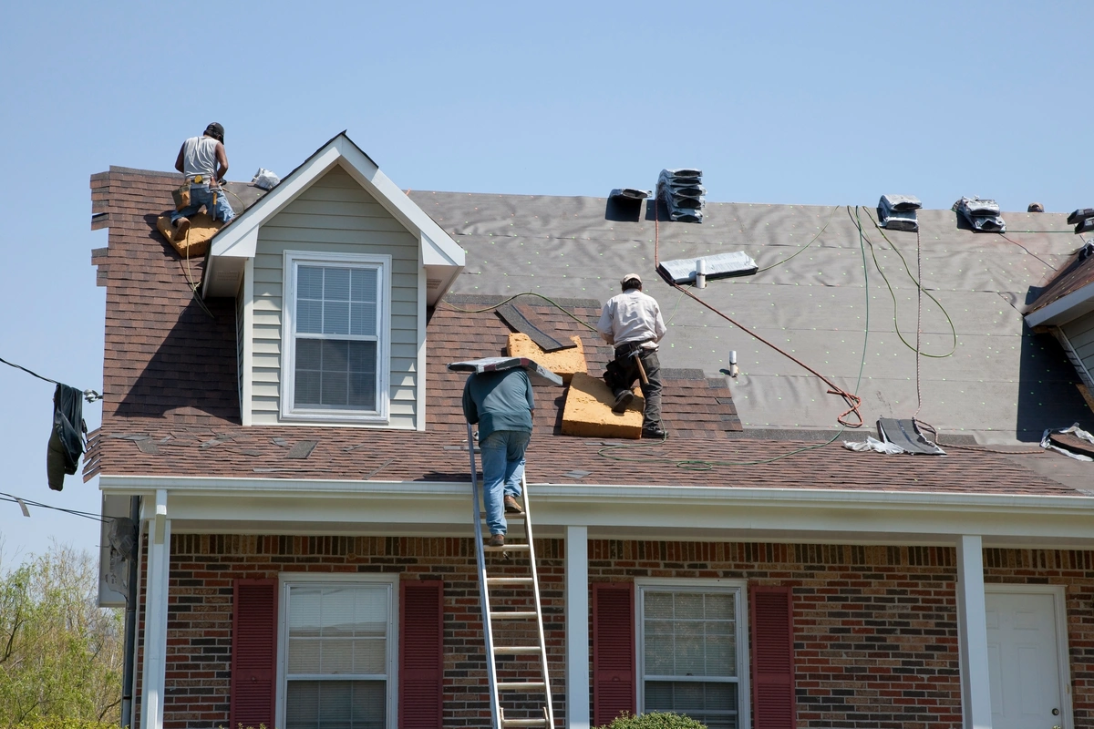 shingle roof replacement 