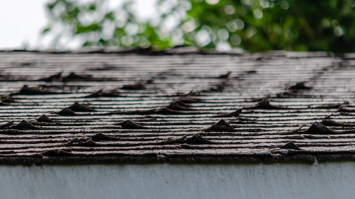 curling shingles