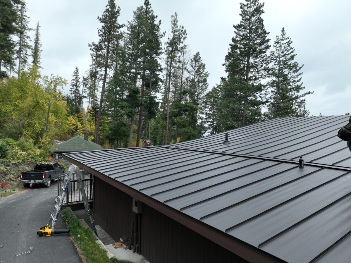 metal roofing pros and cons close up to dark sheet pines on the back